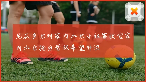 厄瓜多尔对塞内加尔小组赛收官塞内加尔抢分晋级希望升温