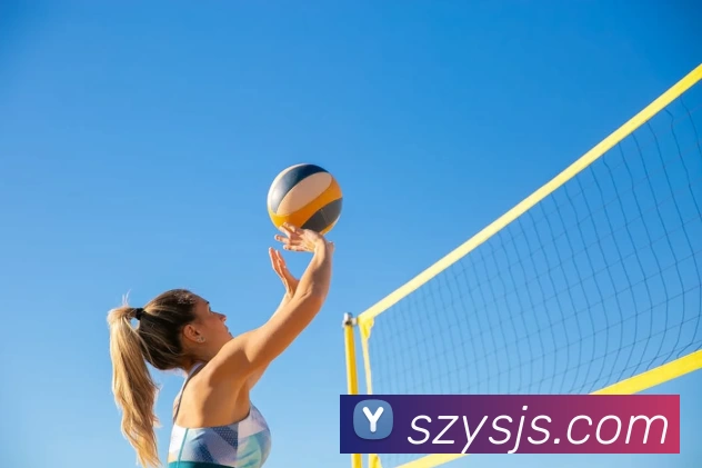 pg国际下载官方网站/手机网页版发展历程